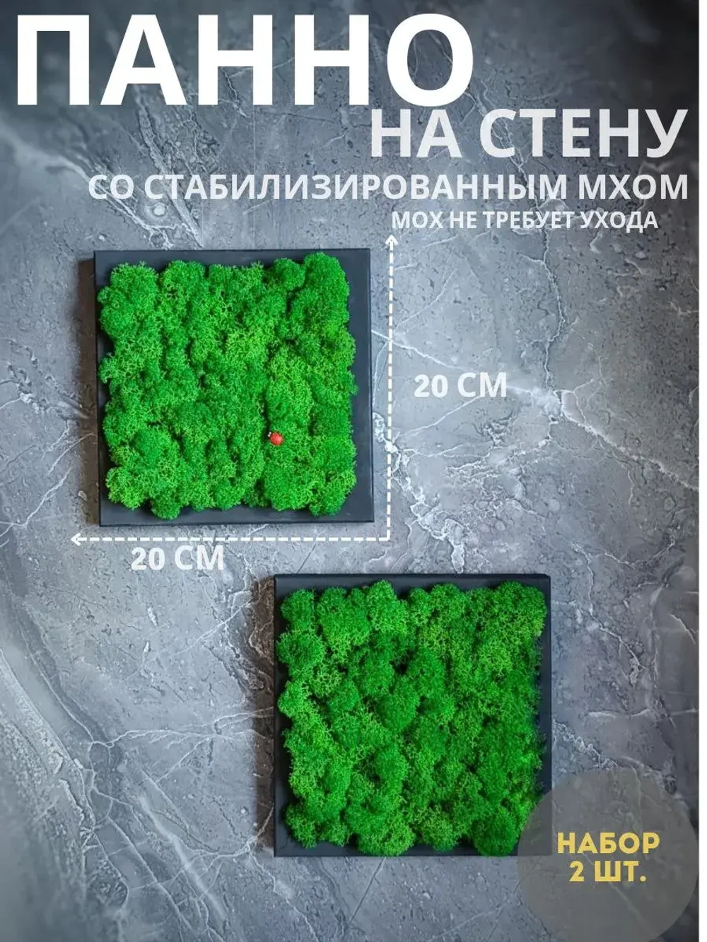 Квадратное панно на стену 20*20 из мха набор 2 шт.
