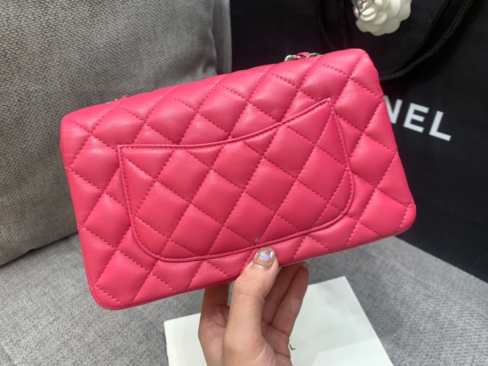 Chanel Bag 20 cm