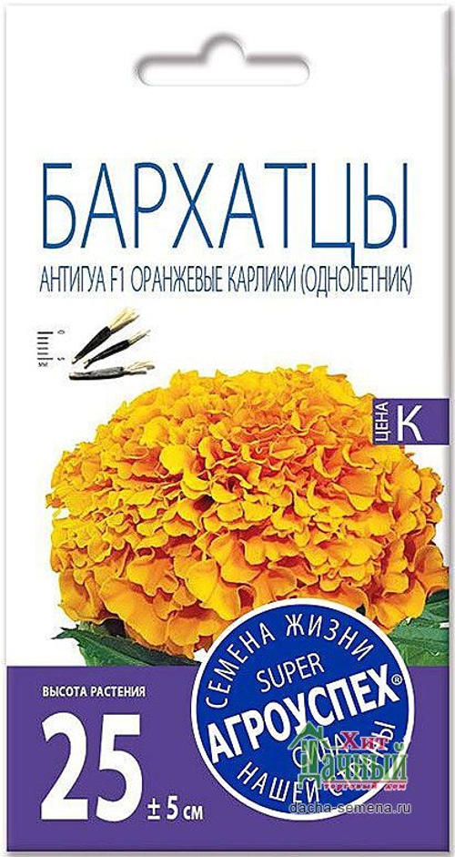 СЕМЕНА БАРХАТЦЫ АНТИГУА ОРАНЖЕВЫЕ КАРЛИКИ F1 АГРОУСПЕХ