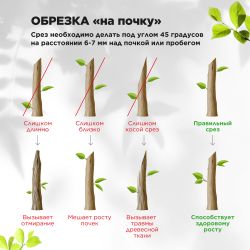 GAECO02-72 GREEN APPLE Дача Cекатор плоскостной | GREEN APPLE