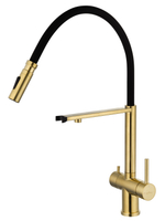 Смеситель для кухни с гибким изливом и подключением фильтра WONZON & WOGHAND, Брашированное золото (WW-88458009-BG)