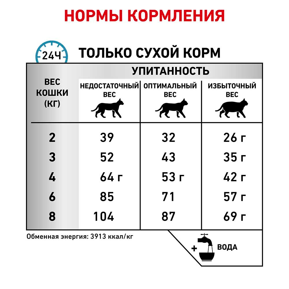 Royal Canin VET Anallergenic AN24 - диета для кошек с сильной пищевой аллергией