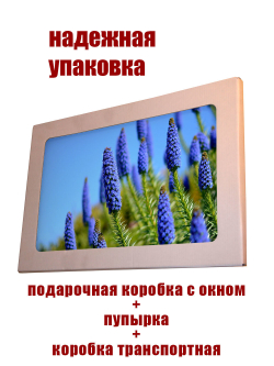 Фото картина на стекле , на стену , в подарок "Хиты цветы" 28х40 см.