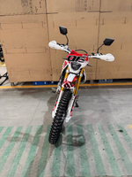 ALMOTOR 300сс