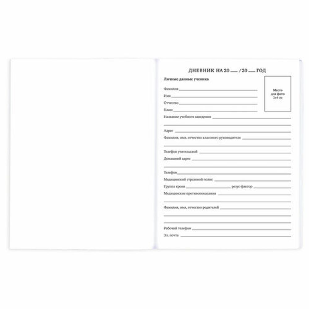 Дневник 1-11 класс 40 л., на скобе, ПИФАГОР, обложка картон, "Мышки", 106812