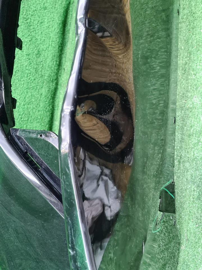 Бампер передний Zeekr 001 (2021-н.в.)