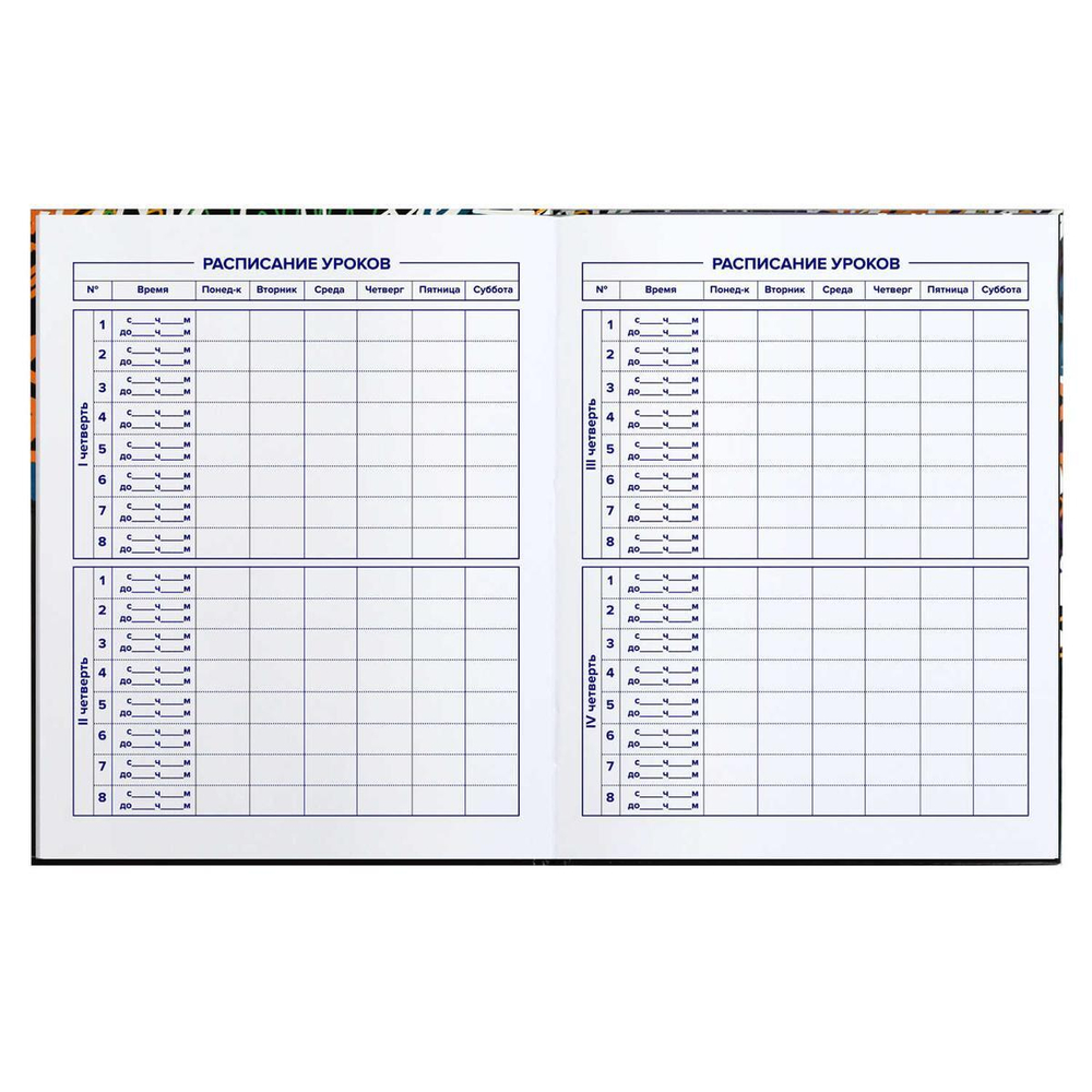 Дневник школьный 5-11 класс 48л "Тэги" (Феникс+)