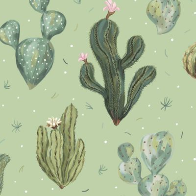 Кактусы (зеленый)