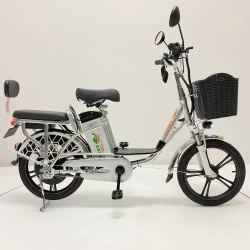 Электровелосипед Green Camel Транк 18 V8