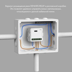 Контроллер-диммер Wi-Fi для смартфонов и планшетов Denkirs Relay RL1004-DM