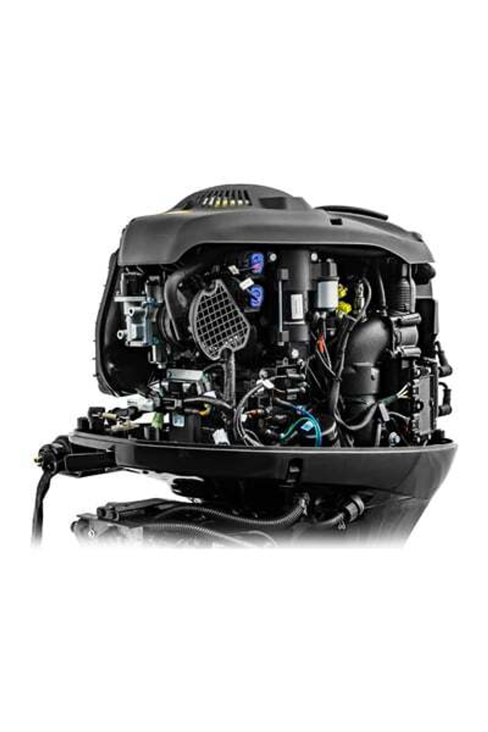 4х-тактный лодочный мотор REEF RIDER RREF100FEX-T