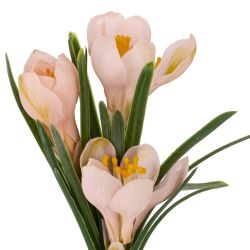 GAEM Цветочная композиция "Крокусы", L12 W12 H28 см