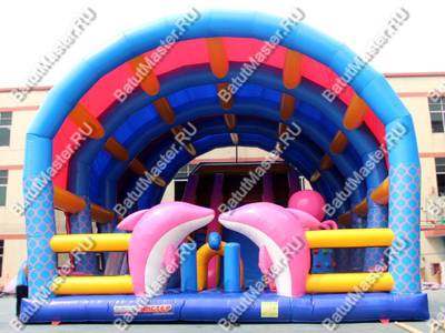 Надувной батут с крышей "Дельфинарий" 11*8*7 м