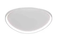 2550/450 WHITE (1) Потолочный светильник (RL)