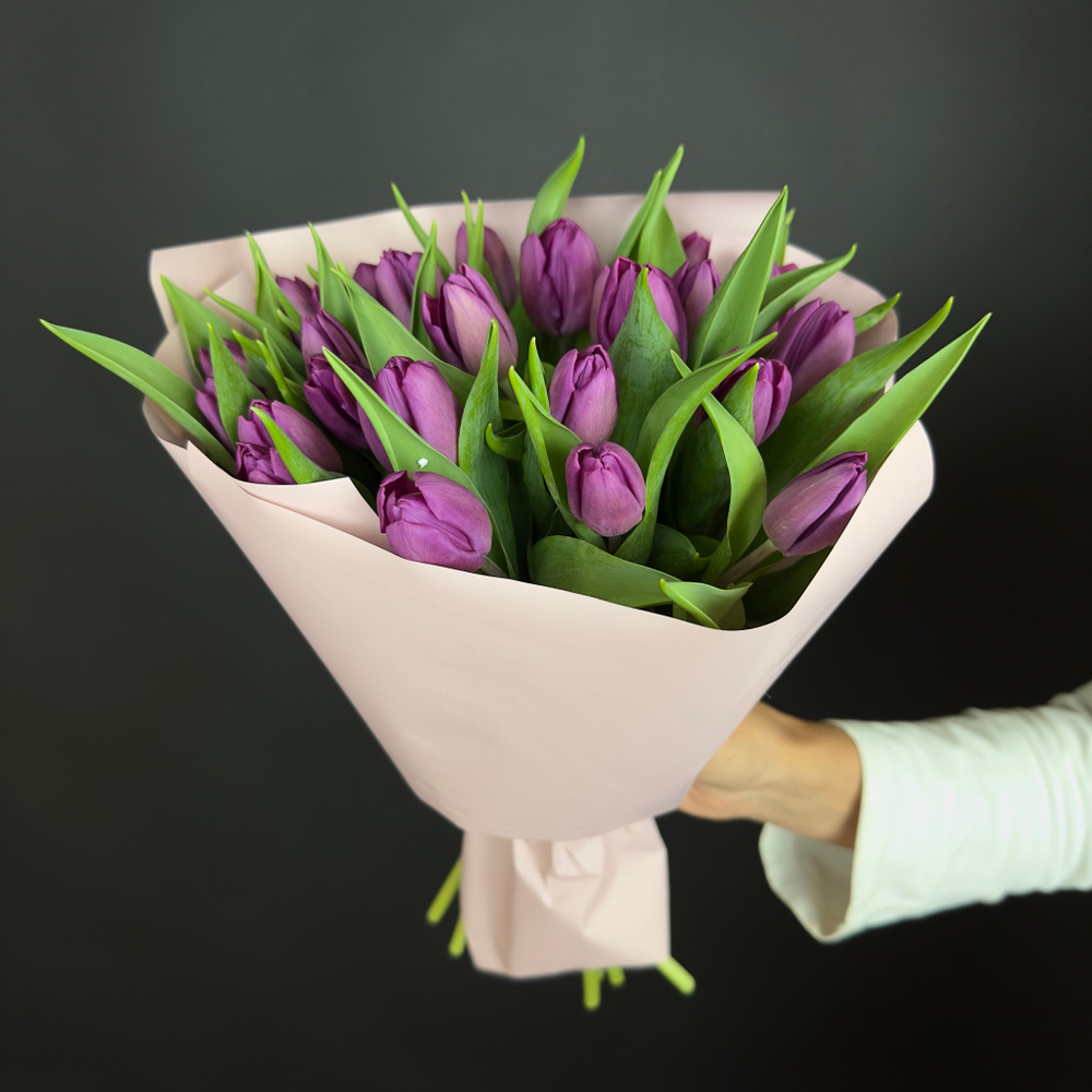 Bouquet of 25 violet tulips