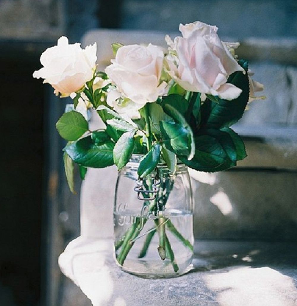 Floris Petals From My Garden