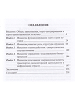 Порто-ориентированная логистика