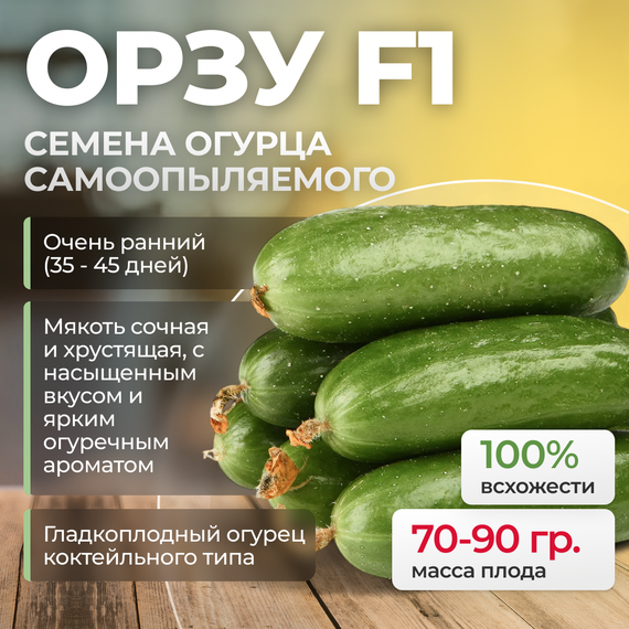 ОРЗУ F1 семена огурца партенокарпического (Nunhems)