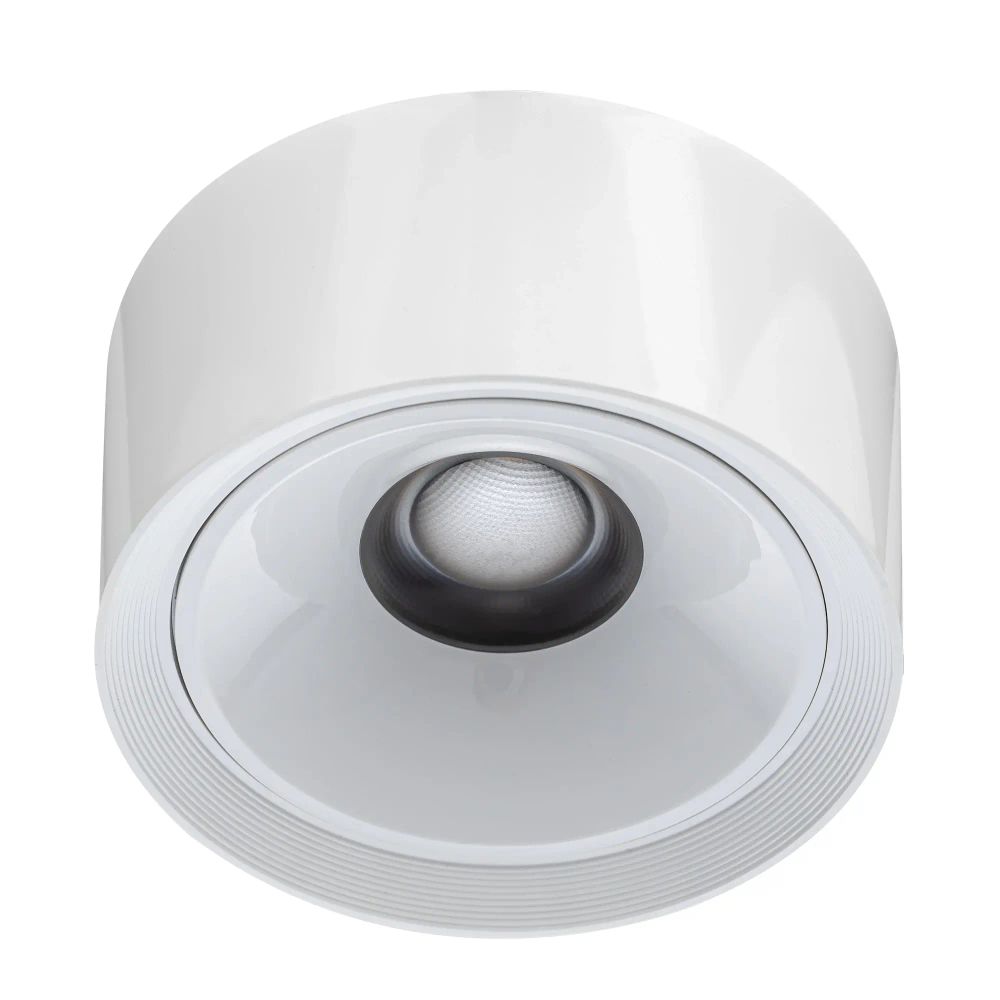 Citilux ROVER CL743060N LED Накладной светильник Белый