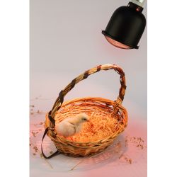 Светильник для террариумов и брудеров ЭРА FITO-E27-SHADE с защитной решеткой | Светильники для нагревательных ламп