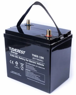 Тяговая аккумуляторная батарея EVEREST TNE 6-190