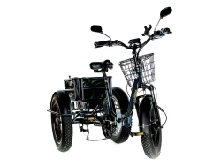 Электрический трицикл фэтбайк E-motions Panda 20 (750W 15Ah)