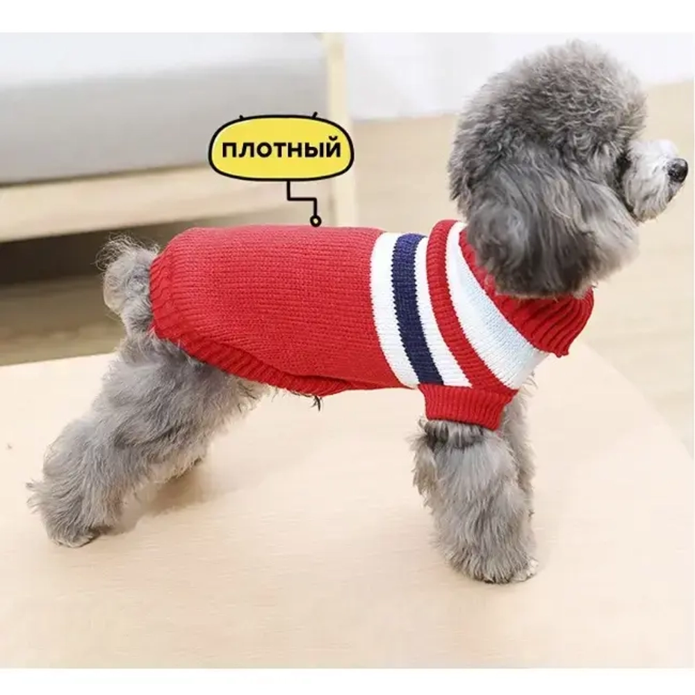 Кофта - свитер для мелких пород собак и кошек «BRO Style», полосочки, цвет красный, р M