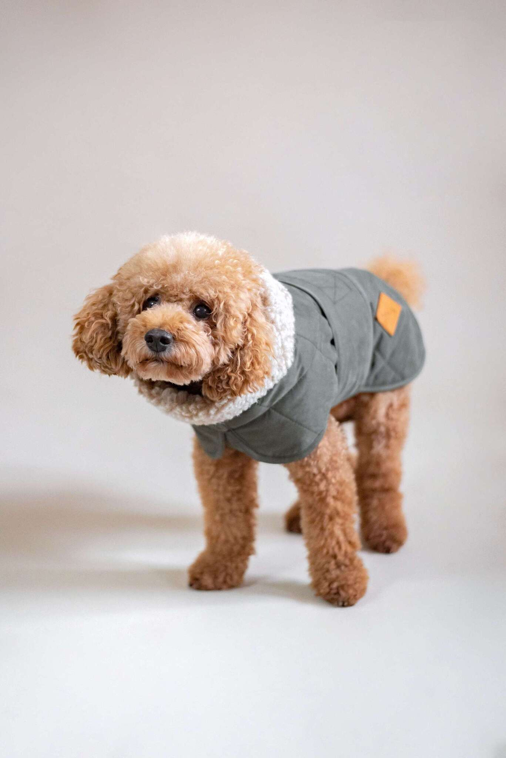 Попона "Пони-эскимони" хаки