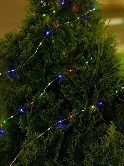 Светодиодная гирлянда садовая "Роса" на солнечной батарее, ARTSTYLE, CL-SS32M, 100 светодиодов, 9,9м, мультицвет.