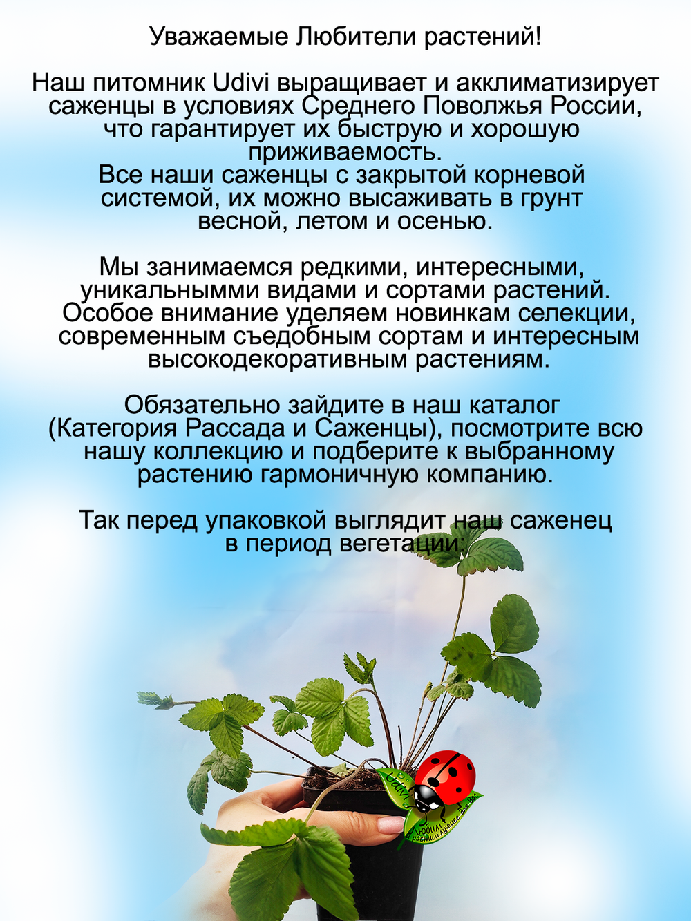 Дюшенея Лапчатка индийская земляника многолетник