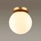 Потолочный светильник Odeon Light Hightech Bosco 4247/1C