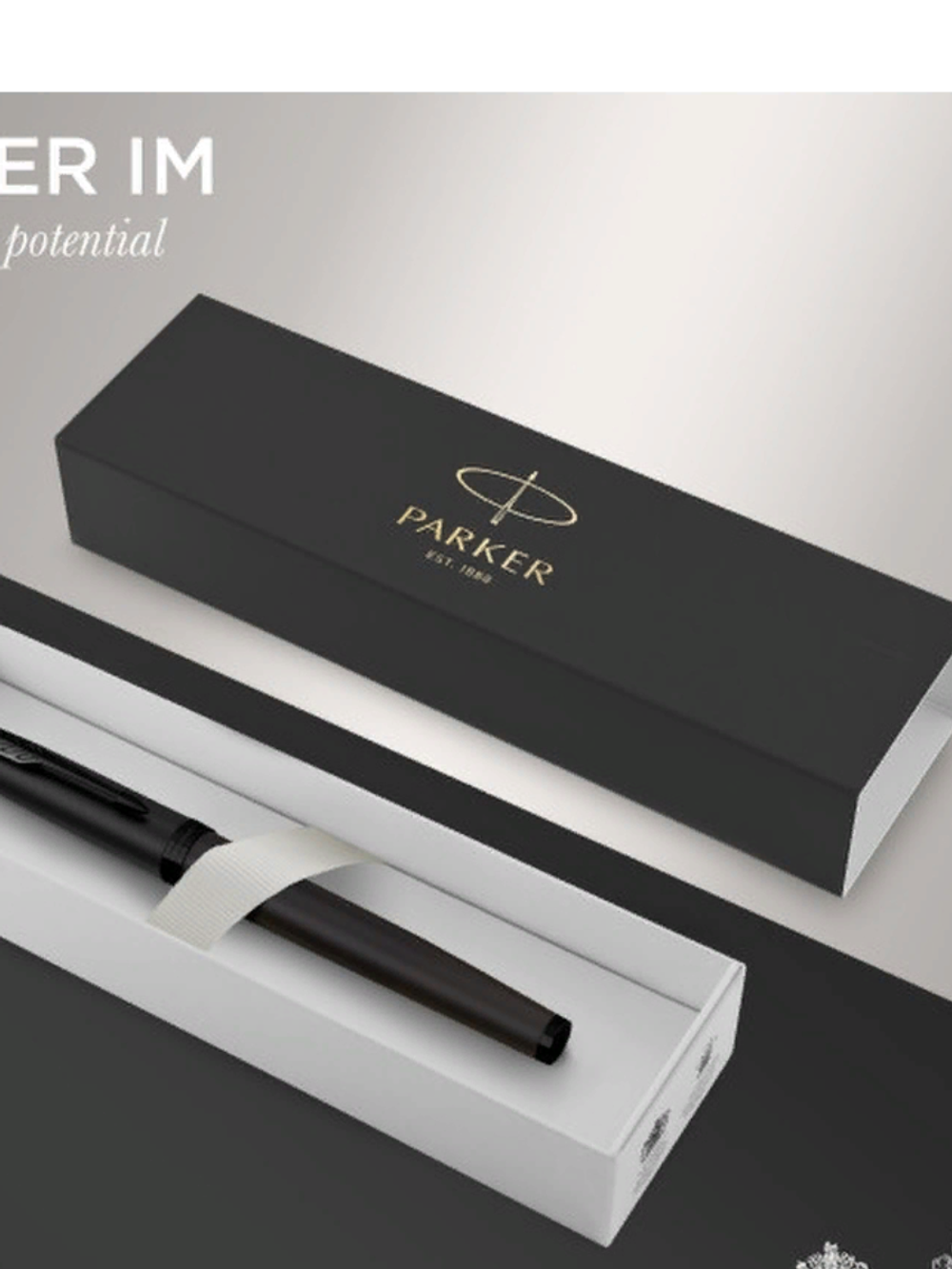 PARKER ручка перьевая IM Achromatic F, синий цвет чернил