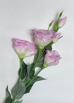 Эустома ветка