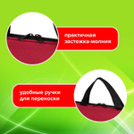 Папка на молнии с ручками STAFF EVERYDAY А4 полиэстер бордовая (2 штуки в упаковке)