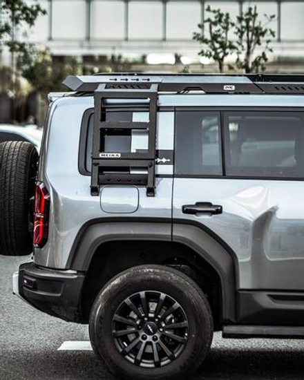 Боковая лестница для BYD Leopard 5