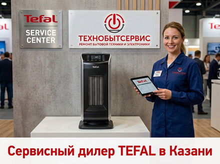 Ремонт обогревателя Tefal в Казани