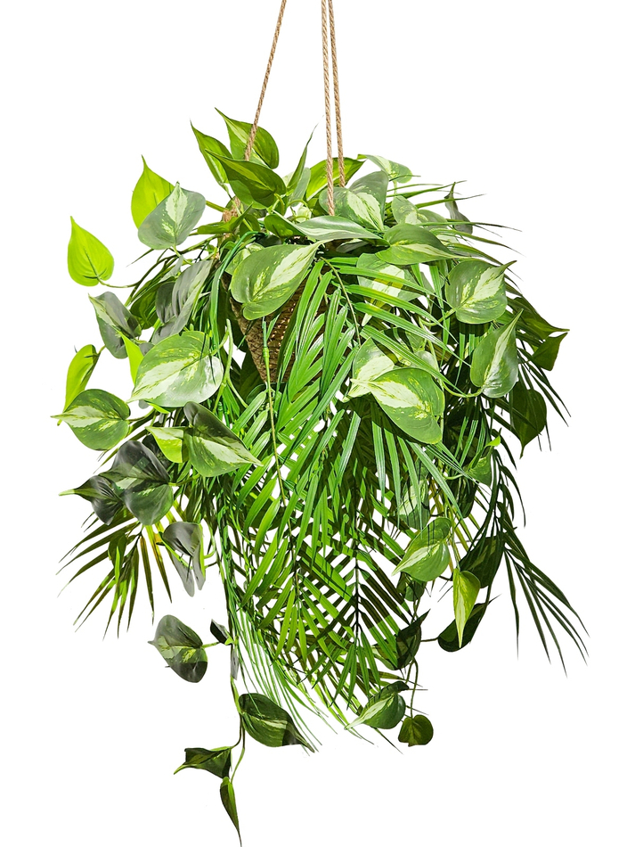Зелень ампельная в подвесном плетеном кашпо