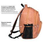 Рюкзак BRAUBERG для старших классов/студентов/молодежи, "Каньон", 30 литров, 46х34х18 см, 225519