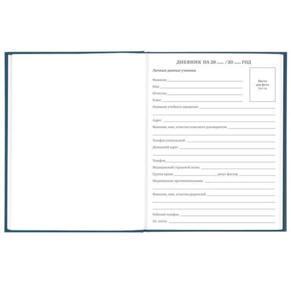Дневник 5-11 класс 48 л., твердый, BRAUBERG, выборочный лак, с подсказом, "Stylish", 106409