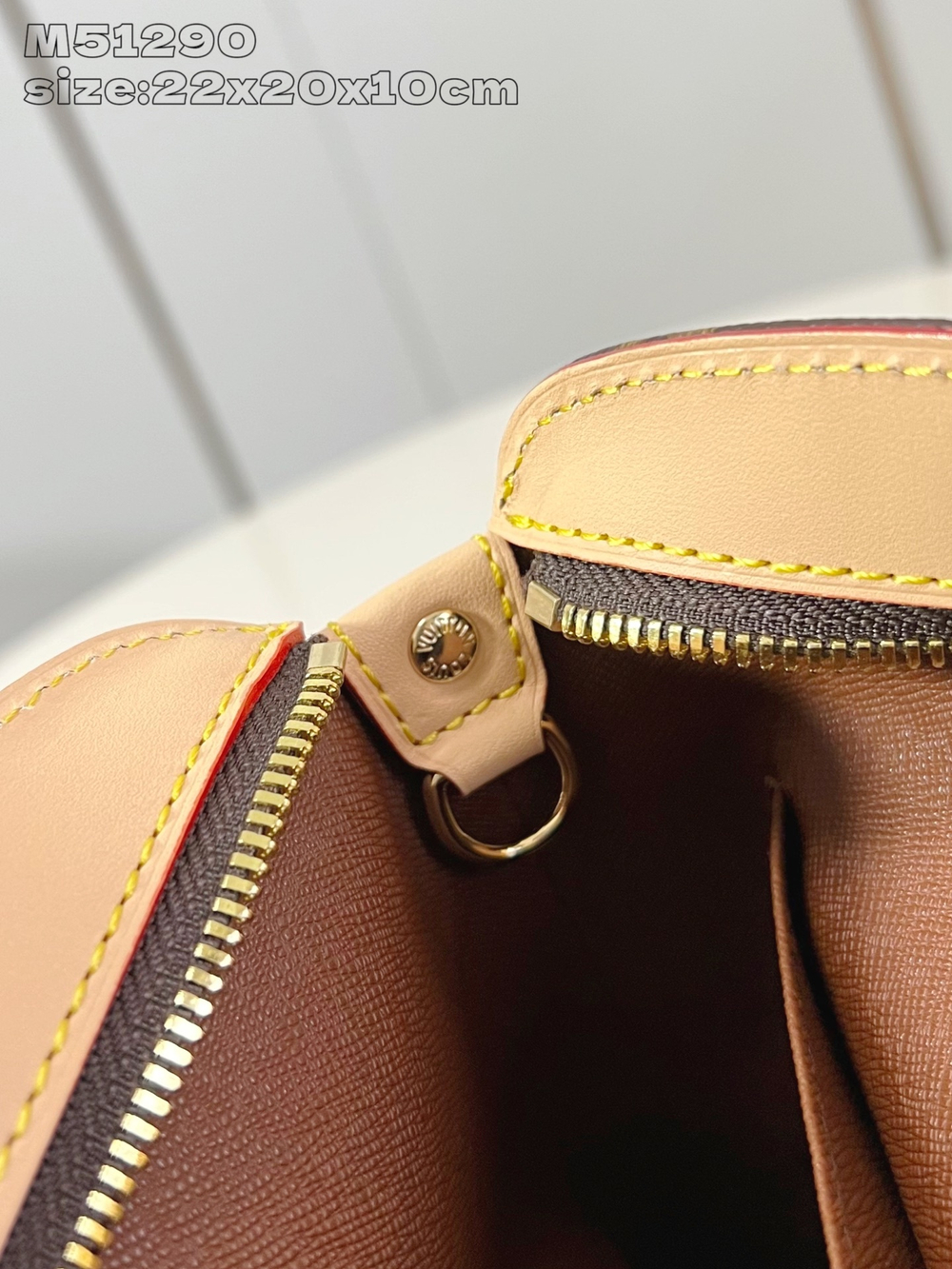 Louis Vuitton Drouot Shoulder Bag