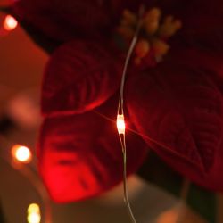 ULD-S0200-020-DTB-3AA-RC RGB IP20 DEW Гирлянда светодиодная Роса на батарейках 3AA не в-к. 2м. 20 светодиодов. RGB свет. Пульт ДУ в-к. Провод прозрачный. TM Uniel