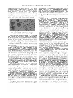 Словарь-справочник пчеловода | Н.Ф. Федосов