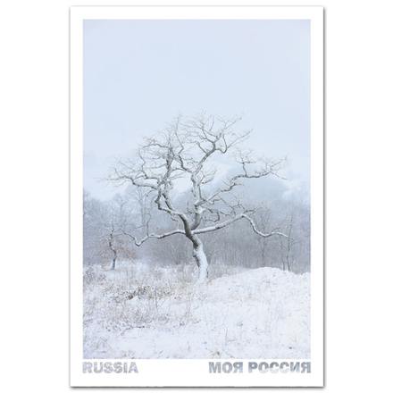 Скала Шахан в Курджиново, Карачаево-Черкесия