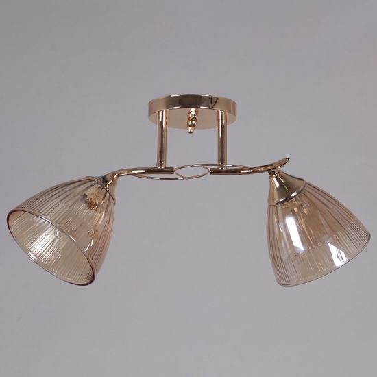 02560-0.3-02 FG светильник потолочный