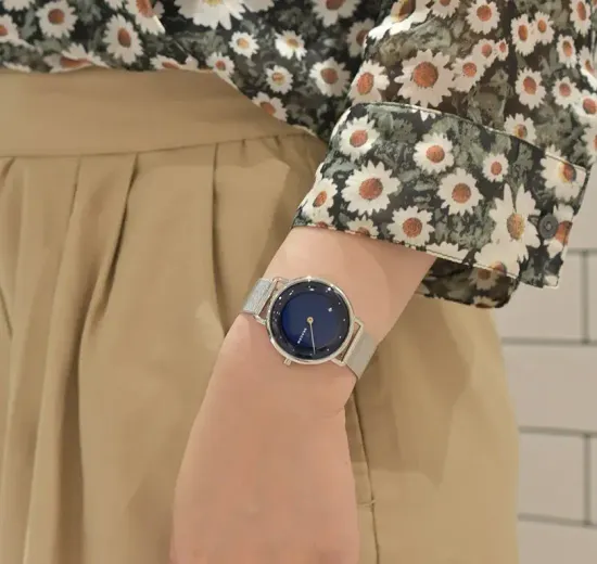 Женские часы Skagen SKW2738