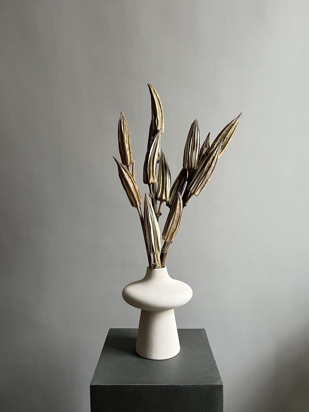 Бамия натуральная