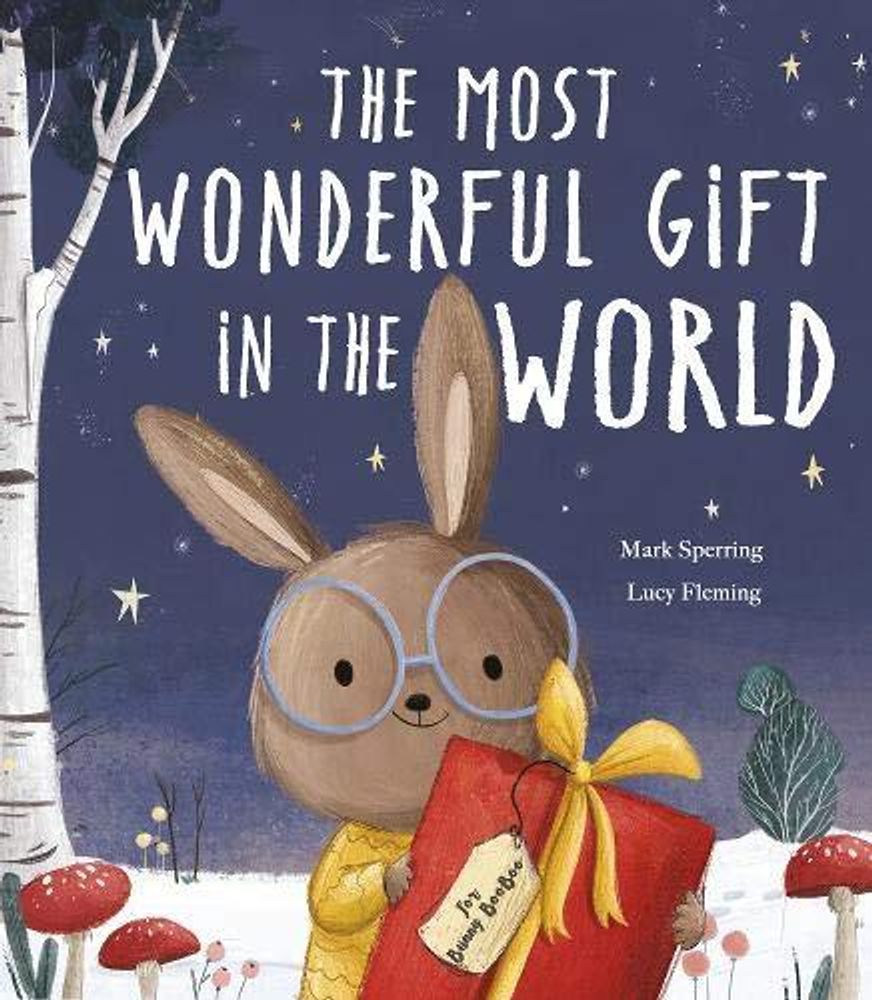 Most Wonderful Gift in the World, the (PB) illustr.
