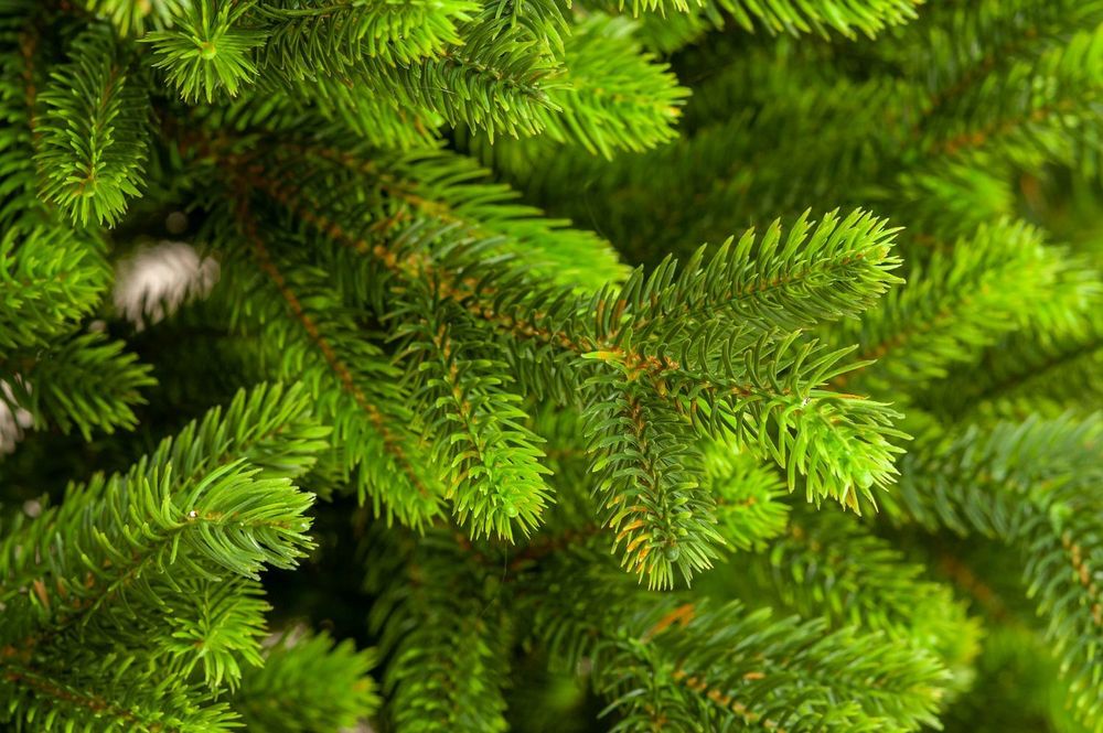 Ель искусственная «Мисхор» (Литая хвоя) 180 см / 1.8 м