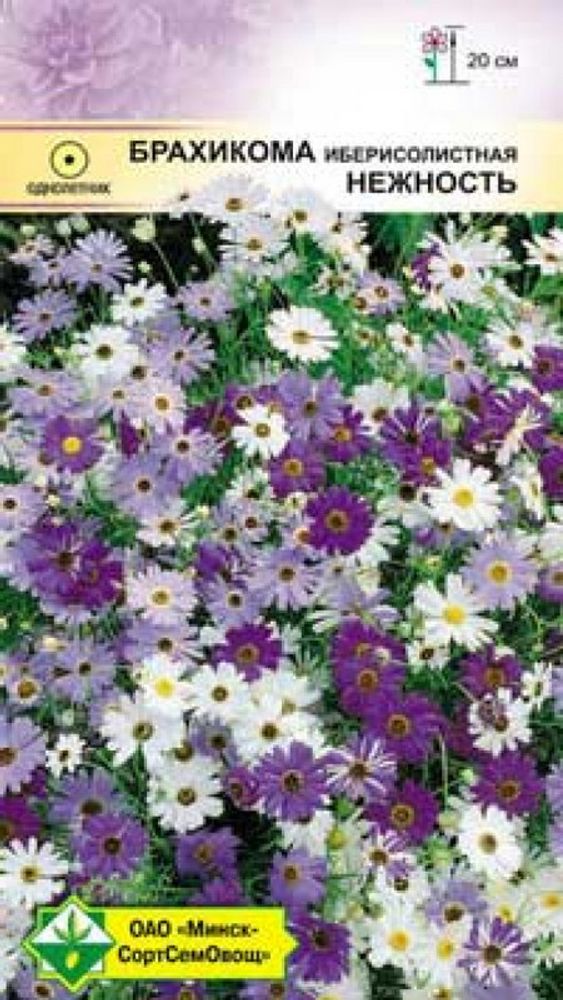 Брахикома иберисолистная "Нежность" 0.2г., Германия.