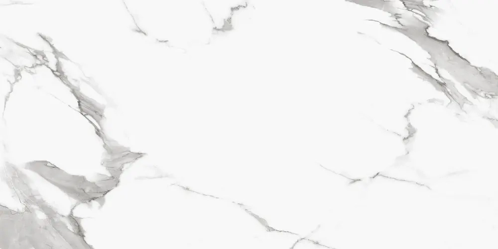 Керамогранит Royce Segesta Grey Polished 60x120 см (R_PR2004)